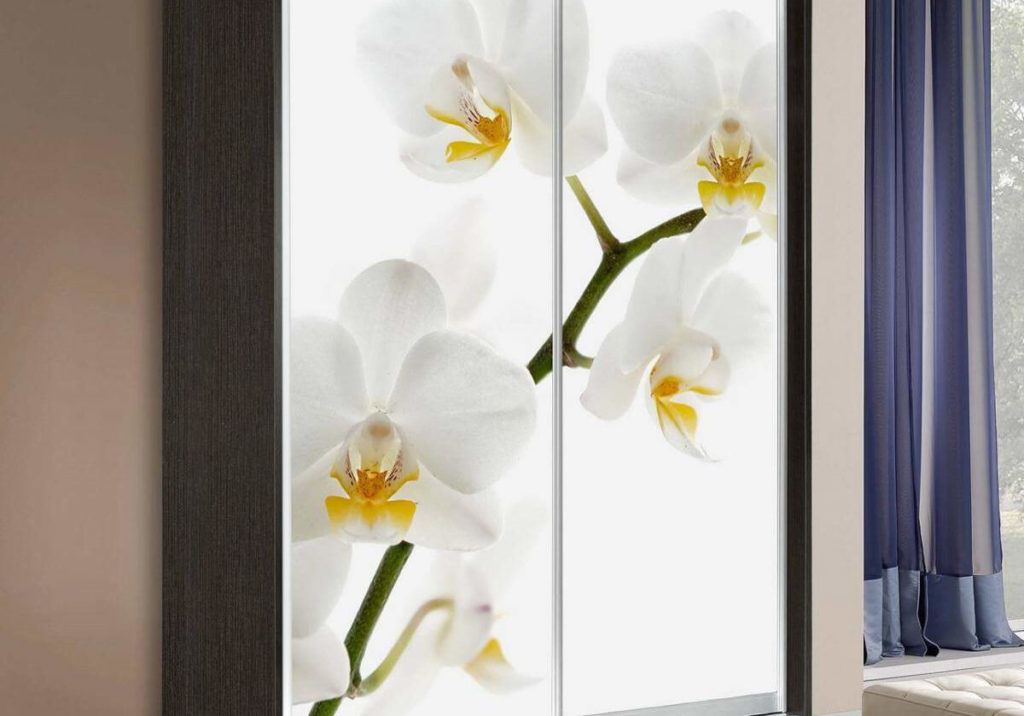 Шкаф-купе 2-х дверный, фотопечать Орхидея