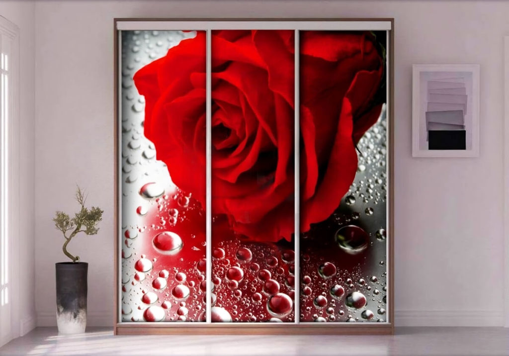 Шкаф-купе 3-х дверный, фотопечать Красная роза